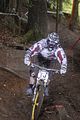653__DSC0095 (3)